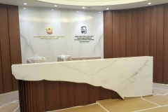 emirates-public-diplomacy-office